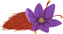 Saffron Spice and Flower Illustration