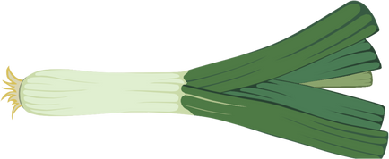 Leek Vegetable Illustration 