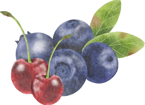 Watercolor Berries Illustration