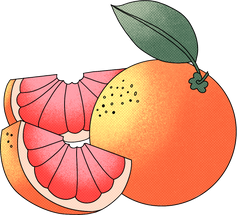 Cartoon Detailed Grapefruit