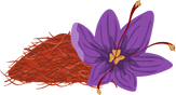 Saffron Spice and Flower Illustration