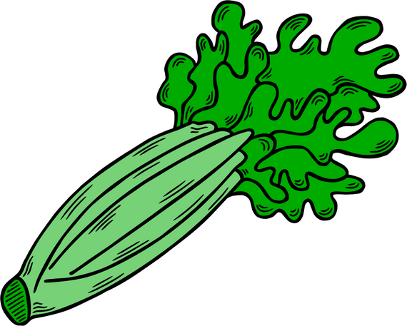 Hand Drawn Celery